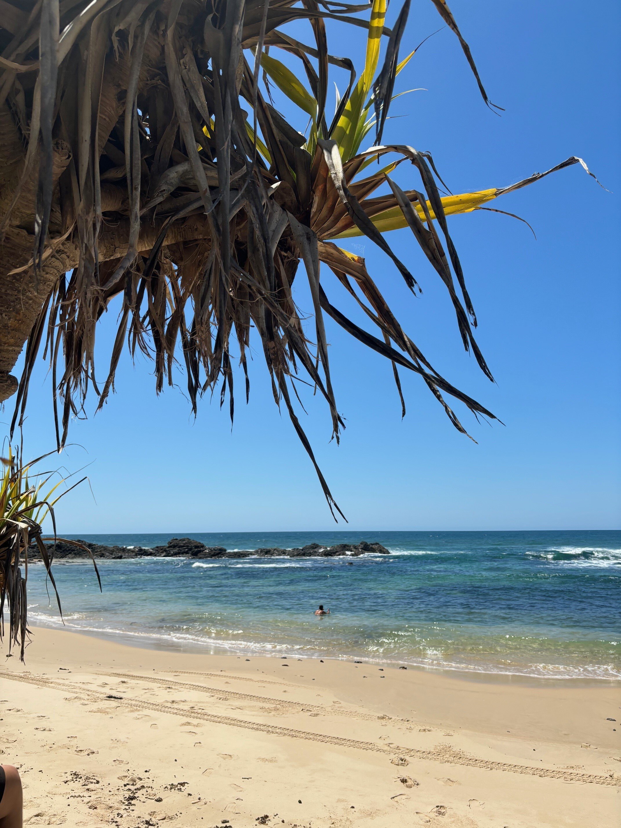 Brooms Head residents hope black substance washing ashore is ambergris