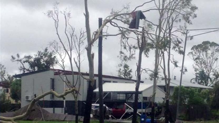 Fallen trees block a road in the Townsville suburb of Vincent after a 'mini-tornado'
