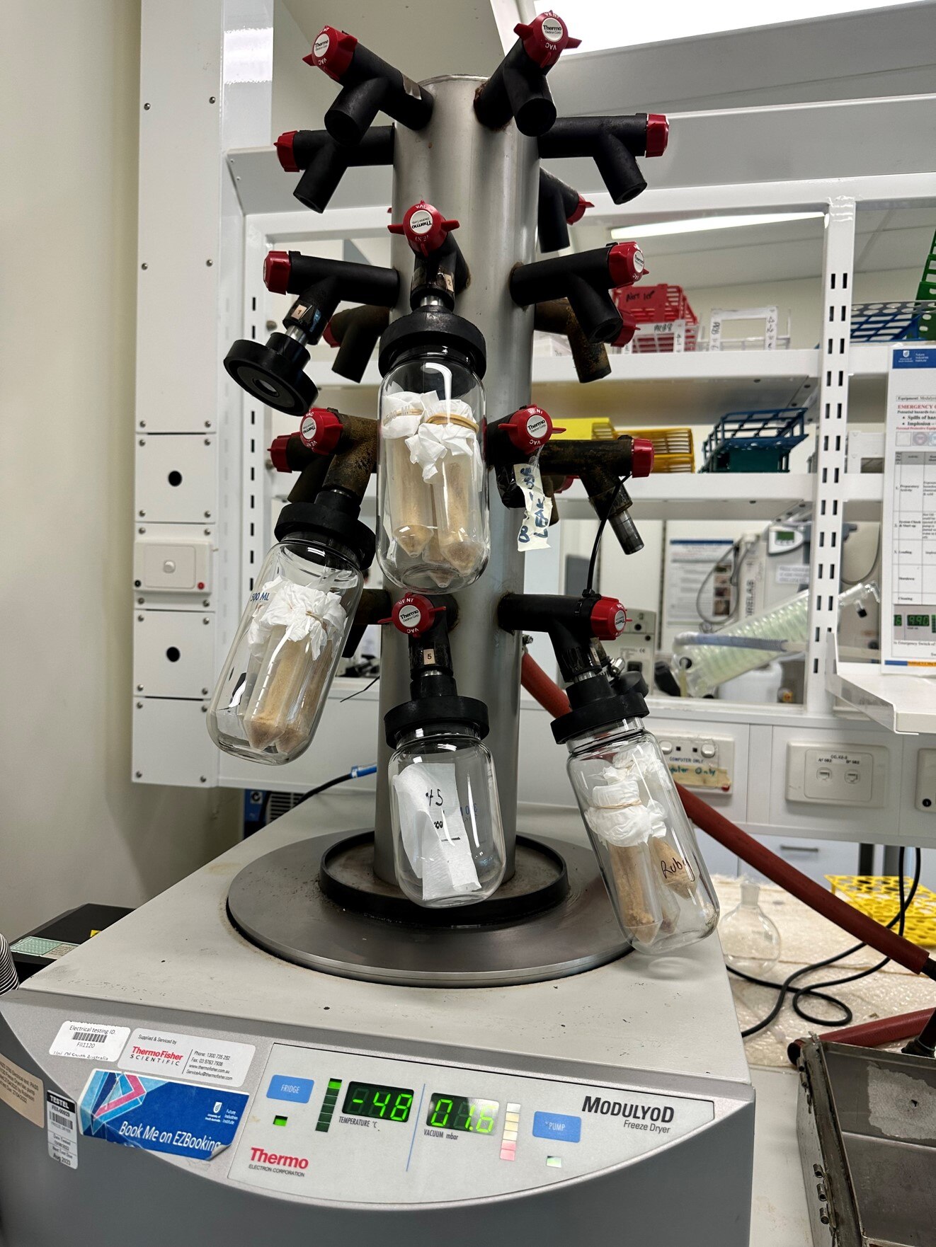 a machine in a lab holds vials full of beige liquid which are being freeze dried