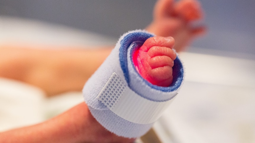 the feet of a premature baby in icu