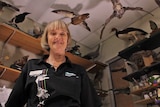 A woman with white hair stands in a room of taxidermied birds