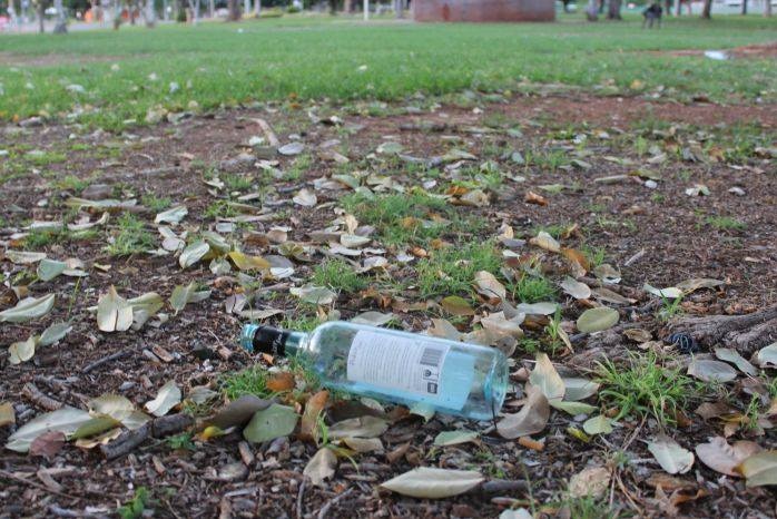 An empty bottle of wine lying on a leaf-strewn park, grass and brown patches. 