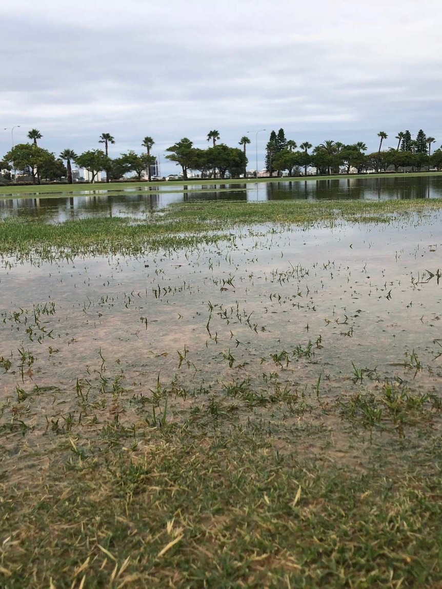 Water covers the grass at the park.