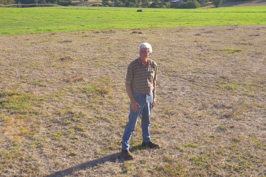 Wally Betting standing on a dry patch of grass