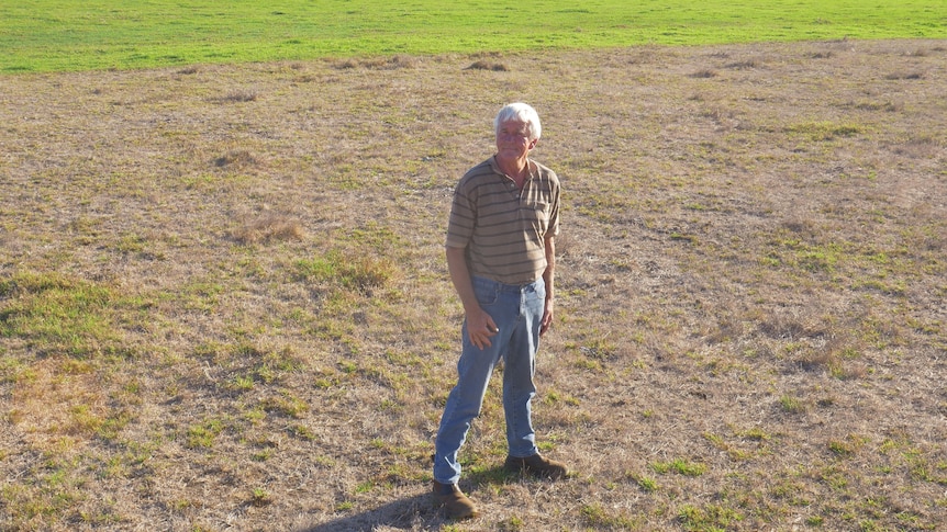 Wally Betting standing on a dry patch of grass