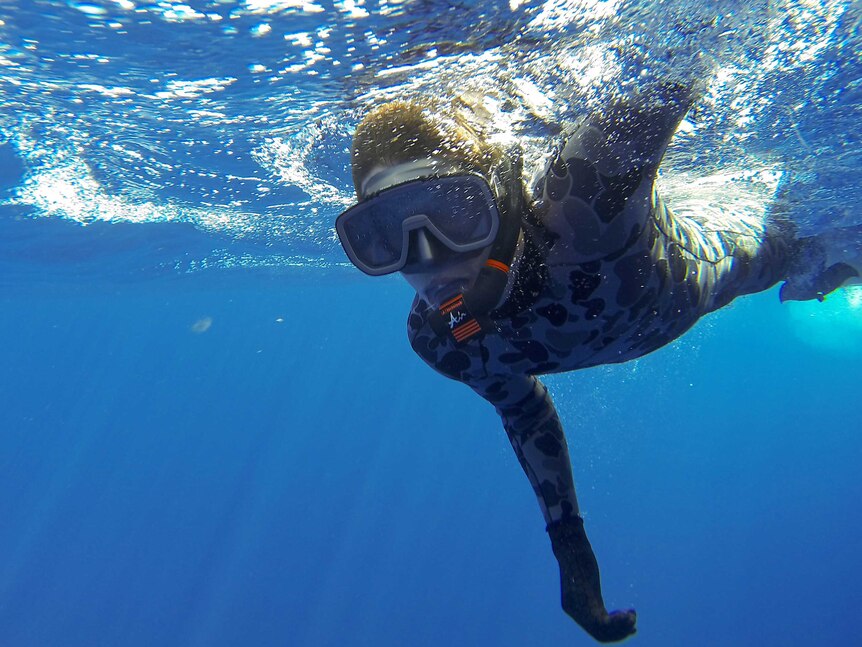 Diver looks for MH370 debris