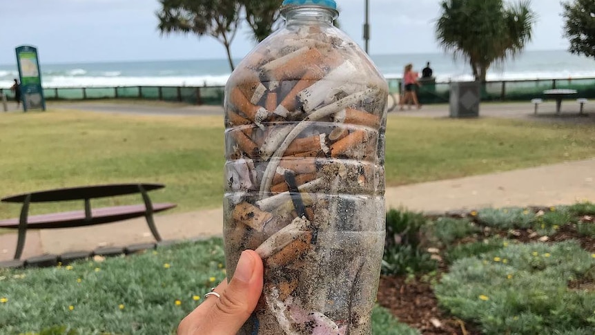 A bottleful of cigarette butts picked up around Burleigh Heads in one day