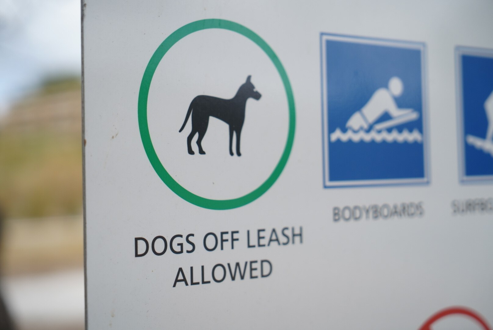 Albany dog attack leaves grandmother hospitalised, without 'soulmate