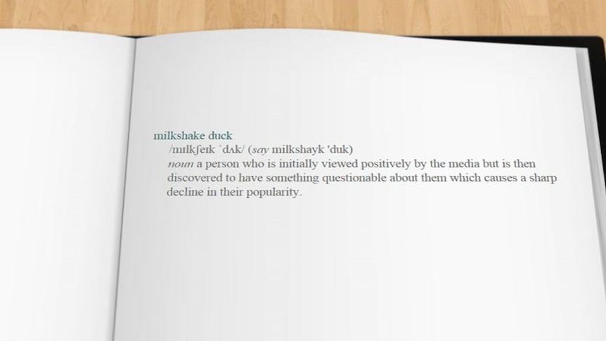 Milkshake duck is Macquarie Dictionary's word of the year.