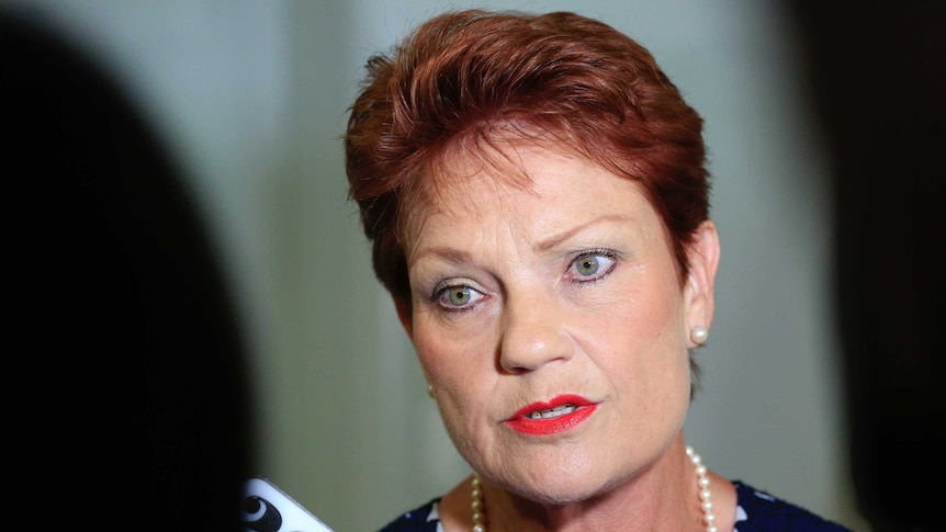One Nation party leader Pauline Hanson speaks to reporters in Canberra.
