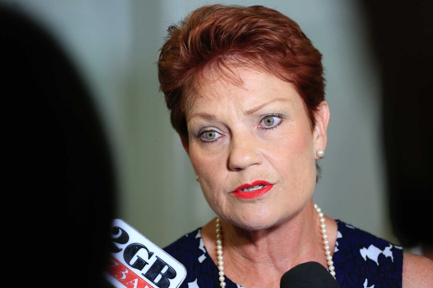 One Nation party leader Pauline Hanson speaks to reporters in Canberra.