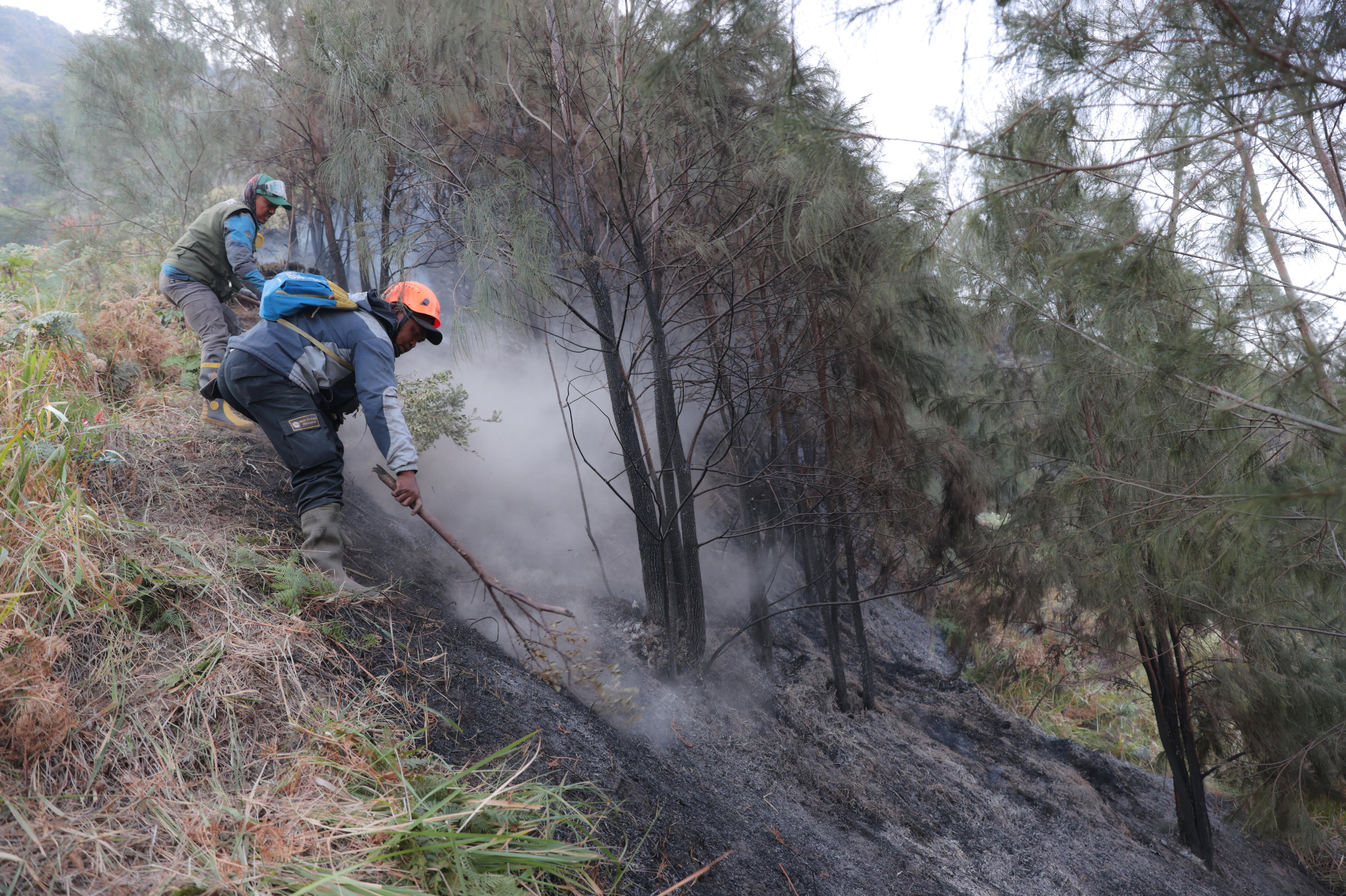 Four dead and two others badly burnt in Indonesia wildfire
