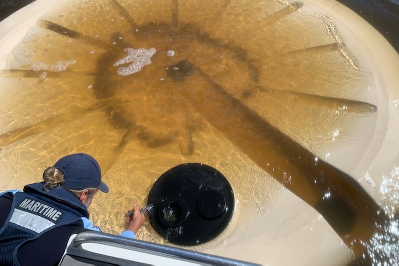 A woman assesses a large tank in the water from a boat