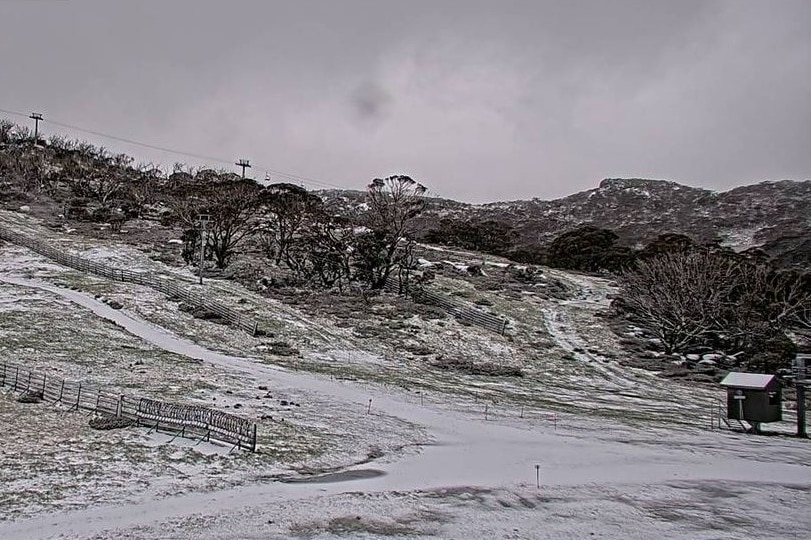 Snow on mountains with trees