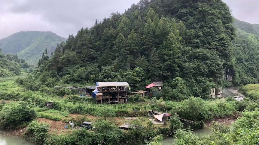 China Hard Forest Sex - Young people in China embrace 'hermit' lifestyles, seek escape from  pressures of modern life - ABC News