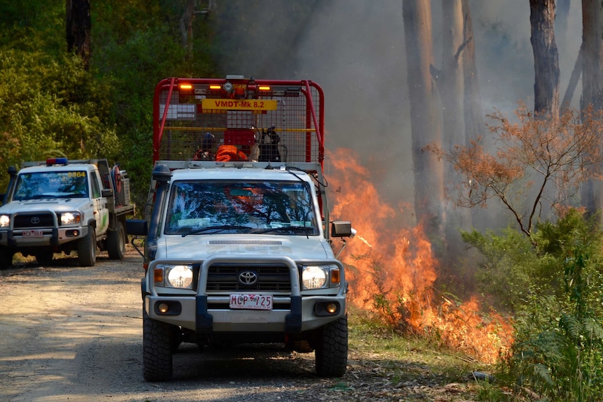 A vehicle-mounted flame thrower lights up the perimeter of a planned burn on the Great Ocean Road.