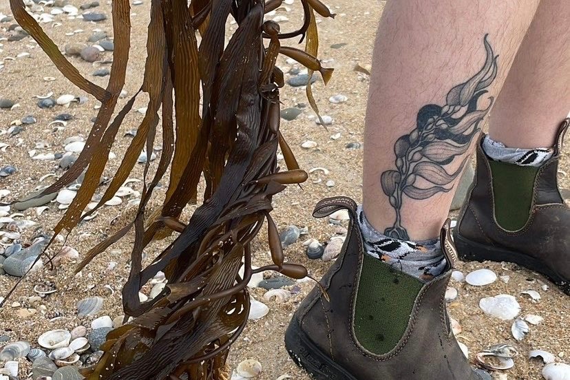 A leg tattoed with giant kelp and some giant kelp.