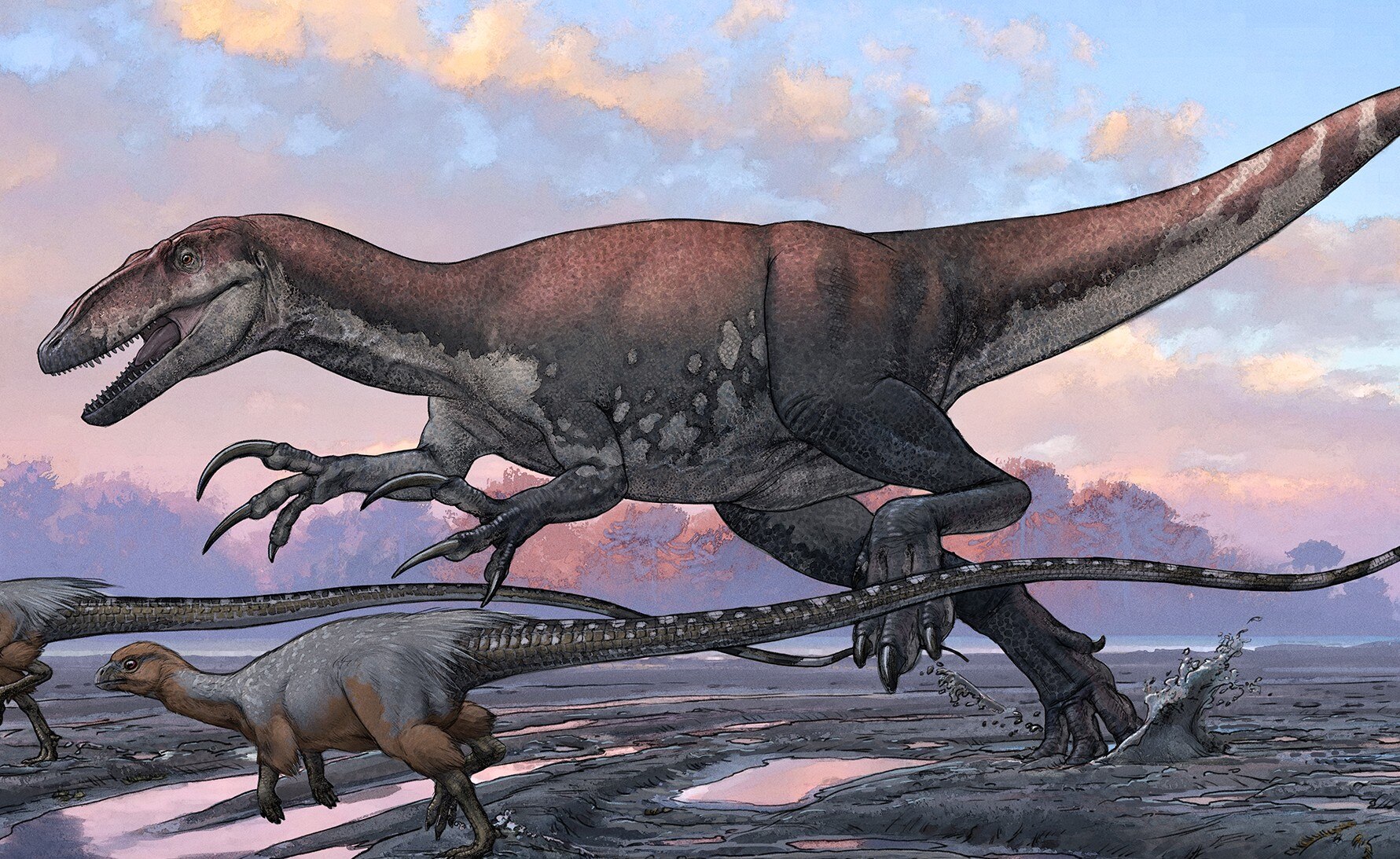 Artist's impression of a large carnivorous dinosaur.