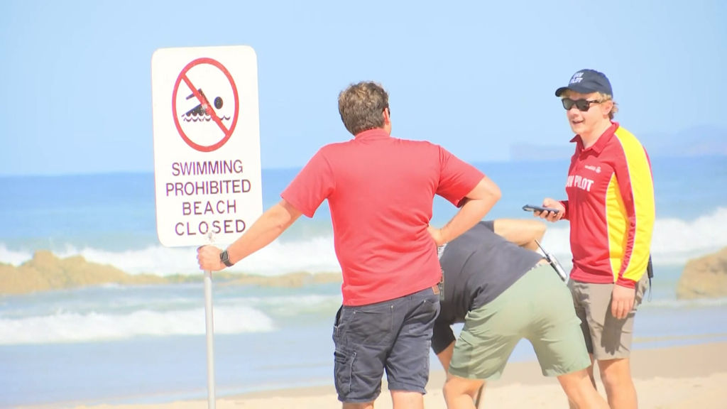 Man in serious condition after being bitten by great white shark at