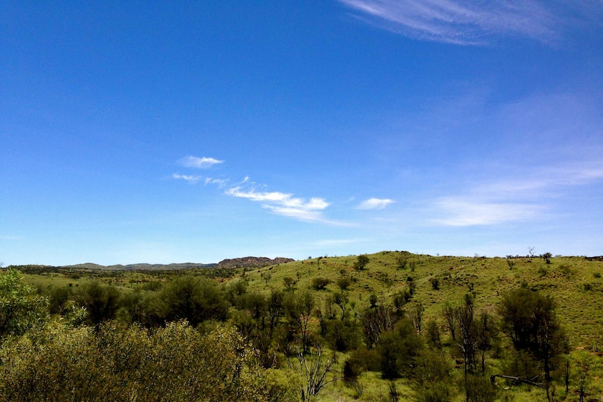 Green hills after the rain around Alice Springs.