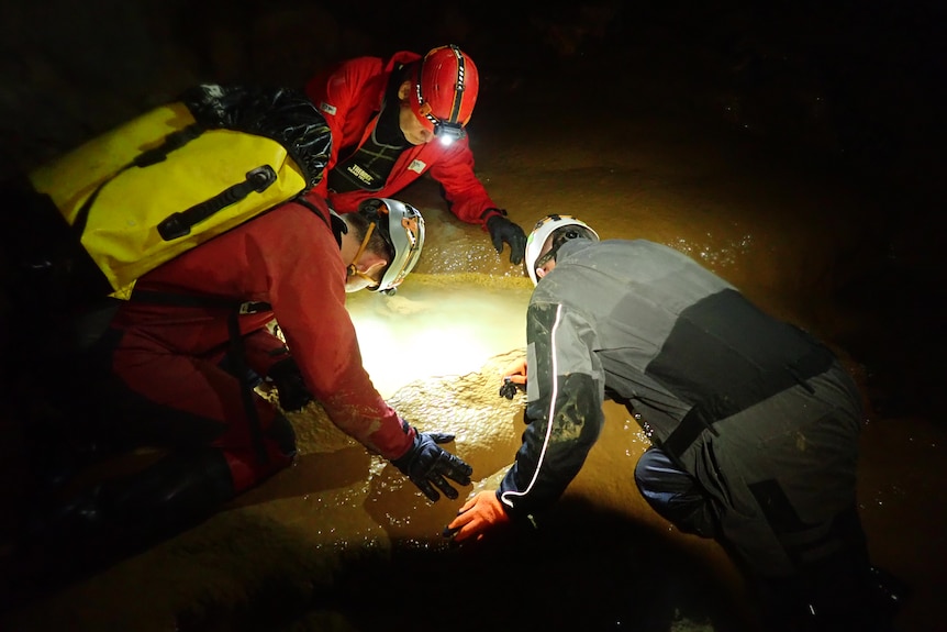 Three people in caving gear are looking into a pool of water in the dark