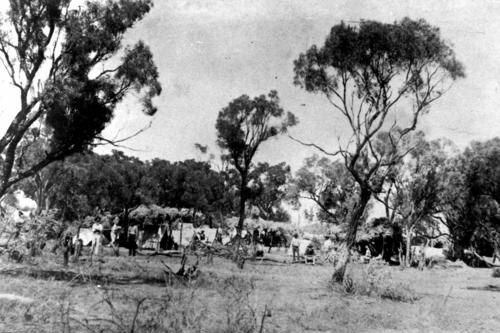 A union Camp in Barcaldine, 1891.