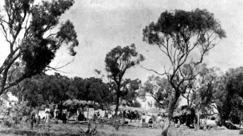 A union Camp in Barcaldine, 1891.