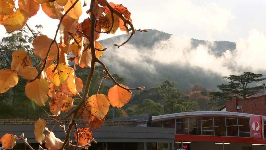 Autumn leaves frame a misty mountain overseeing a post office in Warburton.