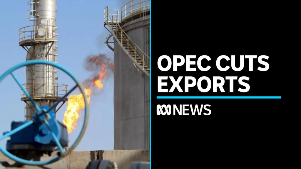 Petrol prices expected to rise after OPEC meeting - ABC News