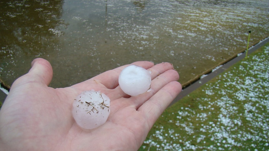 Large hailstones were driven by wind gusts of more than 80 kph.