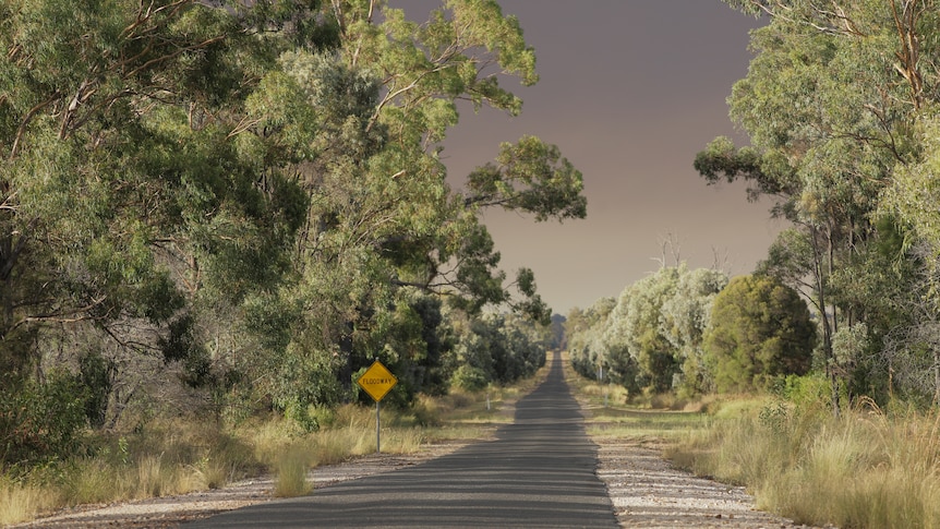 grey bushfire smoke over a rural road surrounded by green trees