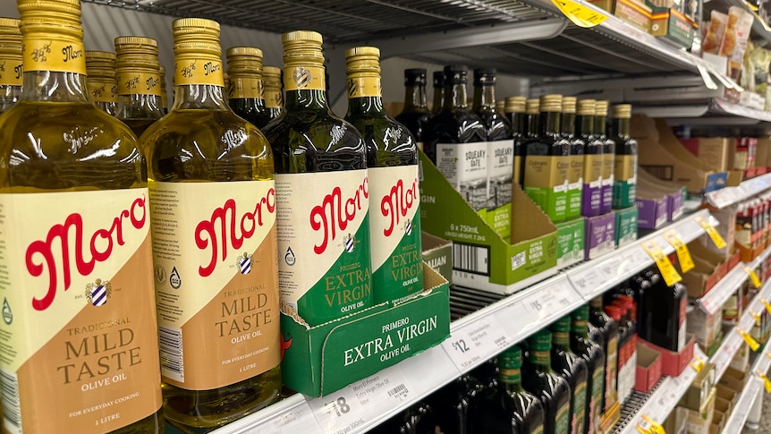 A range of olive oils sit on a supermarket shelf. 