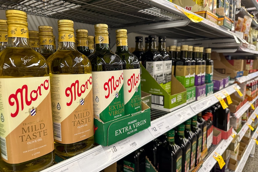 A range of olive oils sit on a supermarket shelf. 