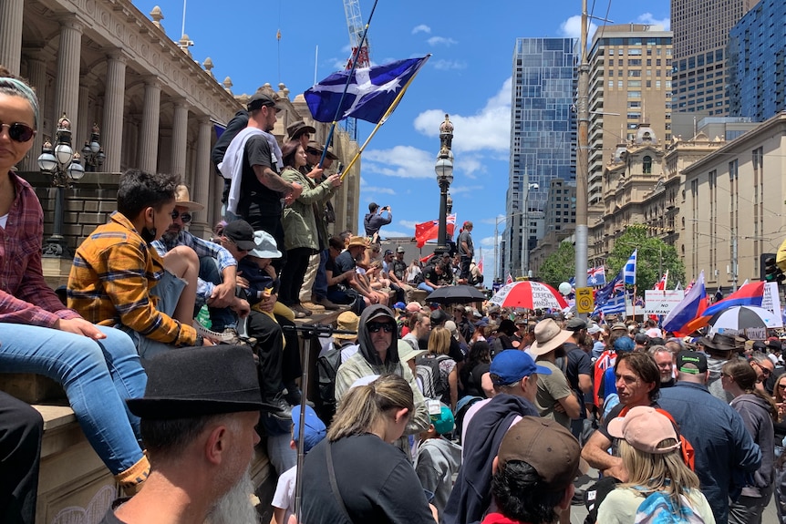 A large crowd holding placards and flags is gathered on the steps of the Victorian parliament.