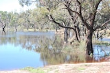 Locals said the water level in the Wimmera River was rising steadily