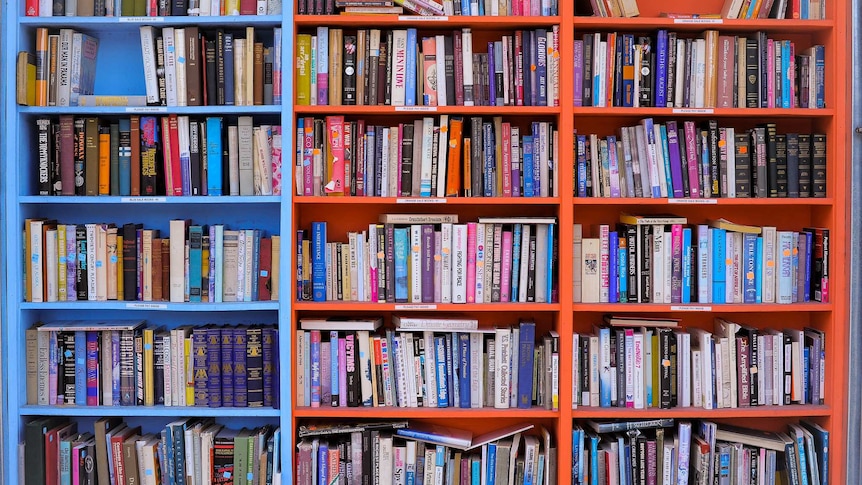 Photo shows bookshelves full of colourful books