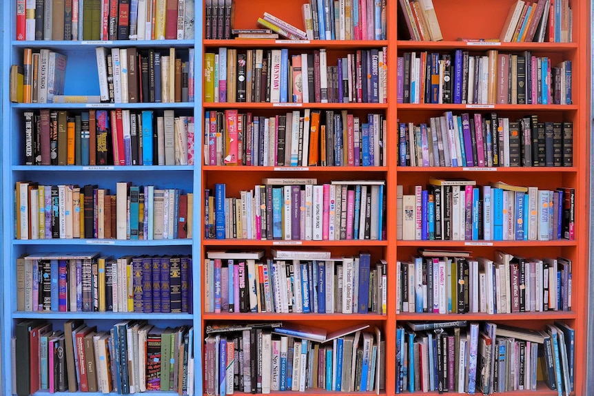 Photo shows bookshelves full of colourful books