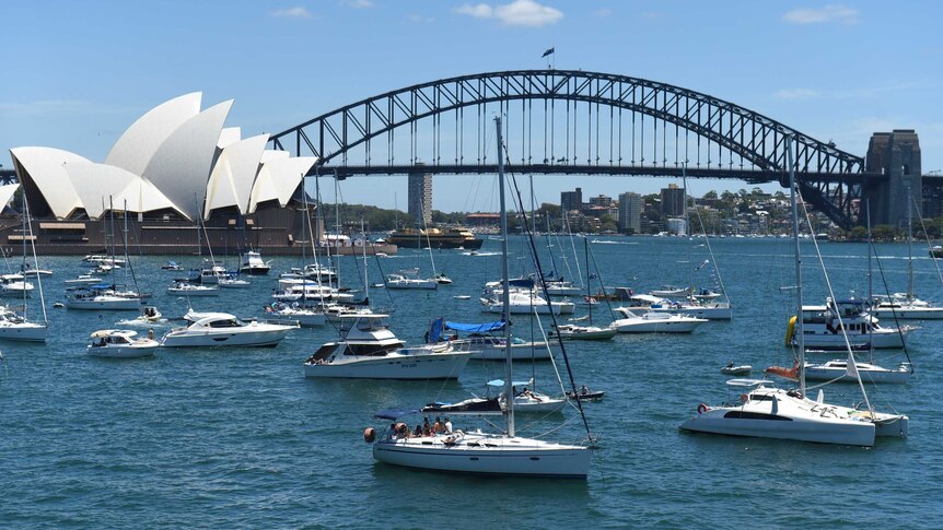 Yachts and boats gather at Farm Cove in Sydney Harbour ahead of the New Years Eve fireworks.