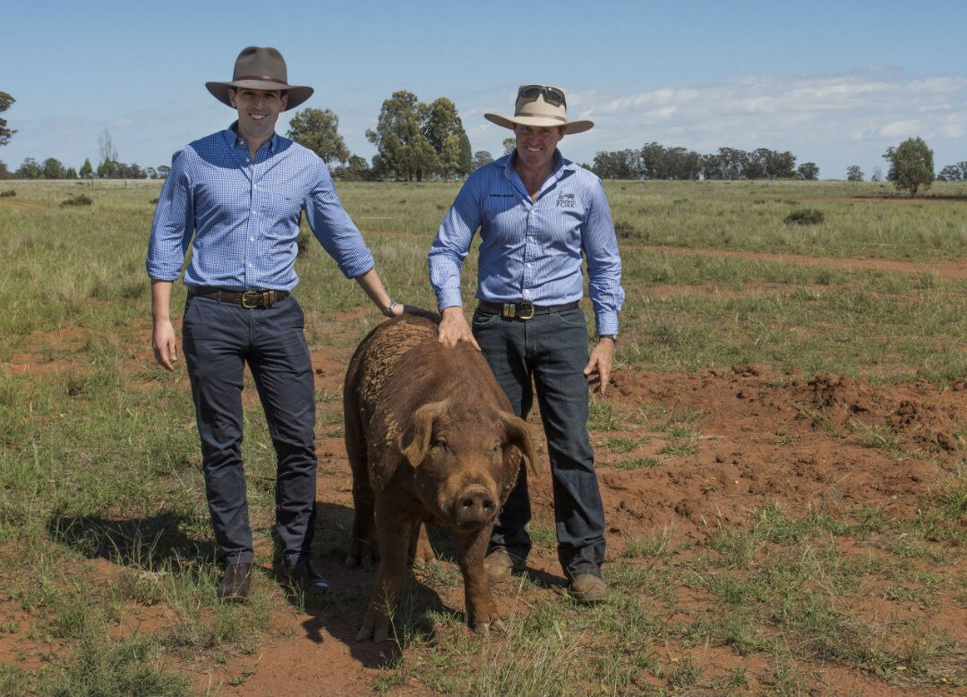 Trainee doctors go bush to get hands-on experience about becoming a ...