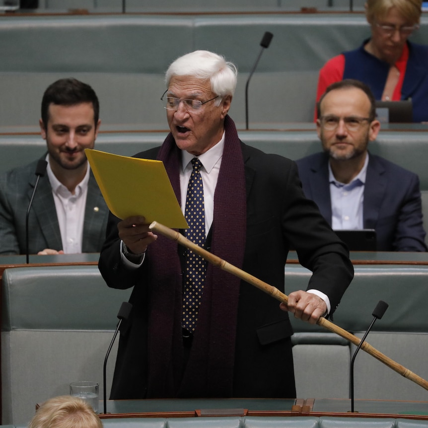 An older man with white hair wearing a suit, a purple scarf and waving a bamboo stick reads from a yellow folder in parliament.
