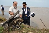 Authorities inspect carcasses of pelicans and other seabird species that have washed ashore on the coast of Peru.