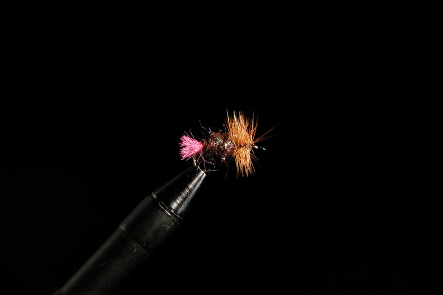 A trout fly made for use in Tasmania in late in the year.