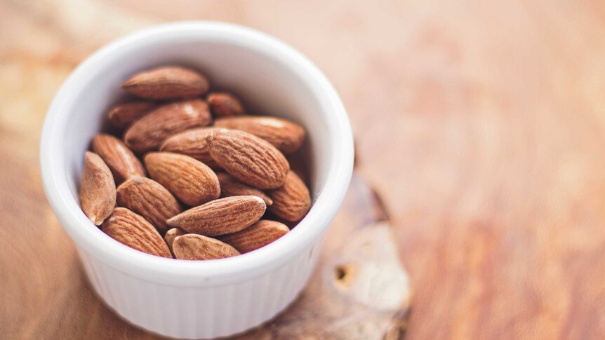 A small pile of almonds in a ceramic bowl on a wooden bench