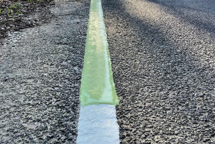The centre line on a country road. The line is coated with glow-in-the-dark paint.