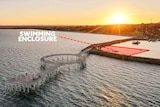 A jetty with a loop in the middle during hide-tide with the city of Whyalla in the background as the sun sets.