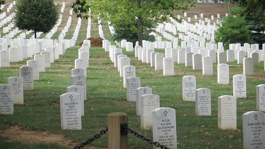 The proposed cemetery would be similar to the Arlington National Cemetery in the United States.