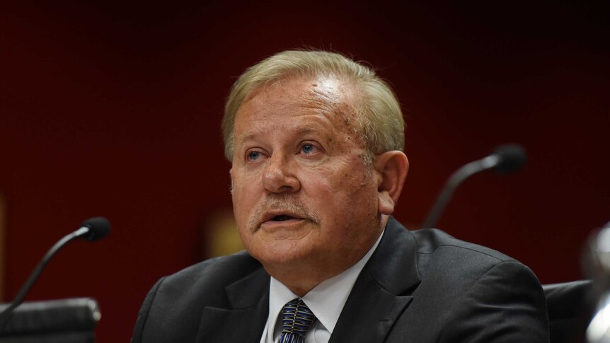 Dr John Grygiel at a NSW parliamentary inquiry