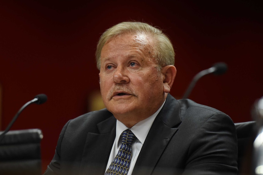 Dr John Grygiel at a NSW parliamentary inquiry