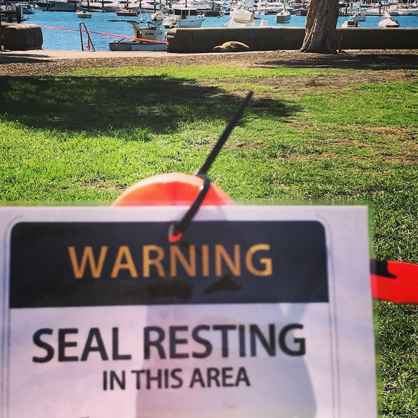 Seal resting sign