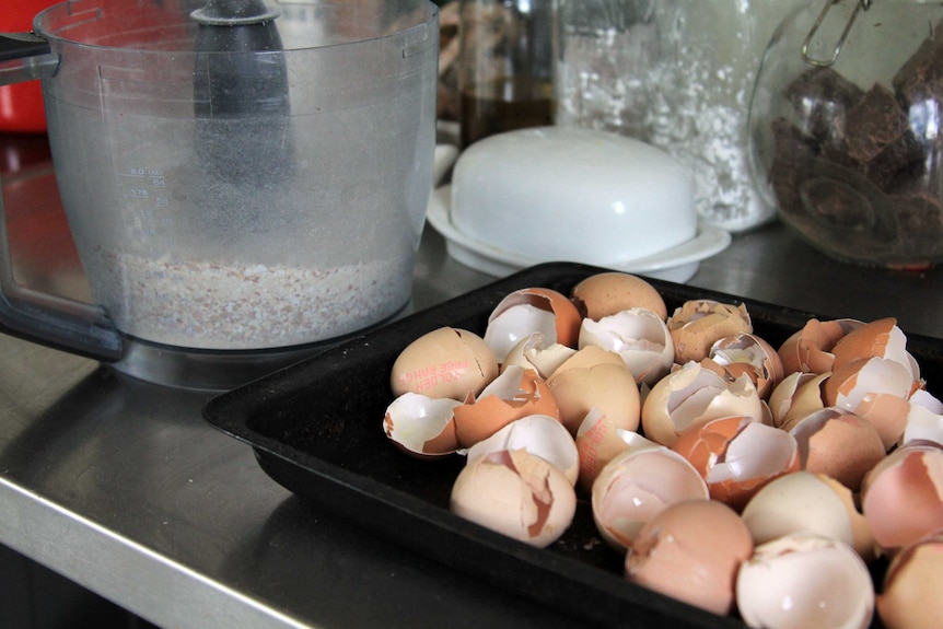 Drying egg shells